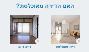 בחירת סוג הדירה לצביעה